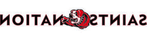 MascotSNation logo